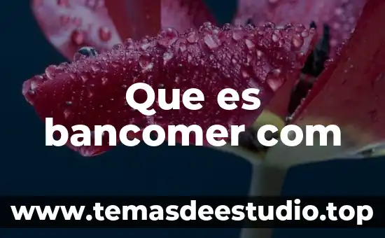 Steamgames com que es 3 Que es bancomer com