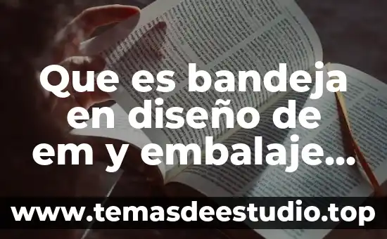 Base metil que es 3 Que es bandeja en diseño de em y embalaje base