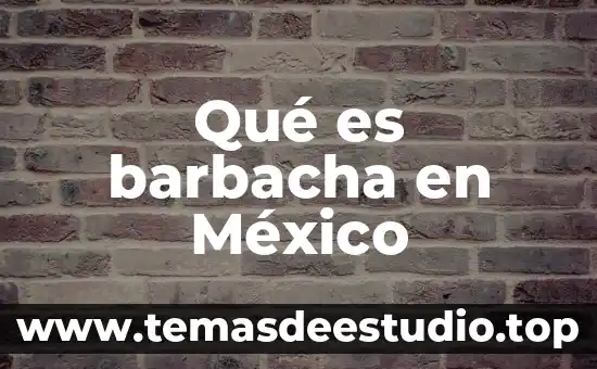Qué es barbacha en México