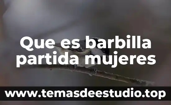 Que es la partida en un pedimento 4 Que es barbilla partida mujeres
