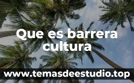 Que es la cultura chichimeca alimentos 6 Que es barrera cultura