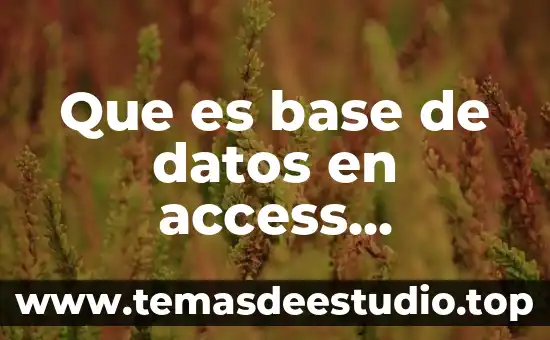 Qué es access definición 3 Que es base de datos en access ejemplos