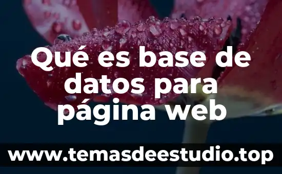 Que es una pagina web en programacion 8 Qué es base de datos para página web