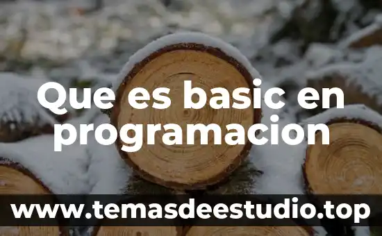 Programación en C que es devolver un parámetro 4 Que es basic en programacion