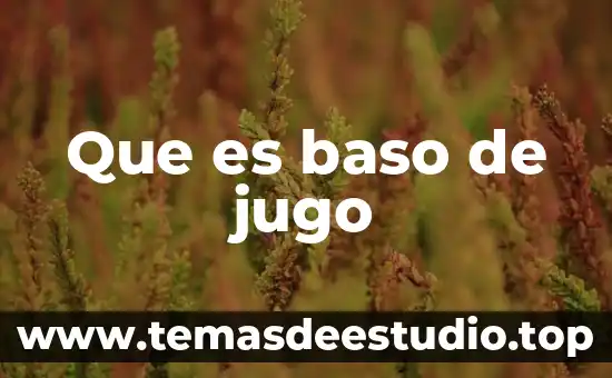 Que es baso de jugo