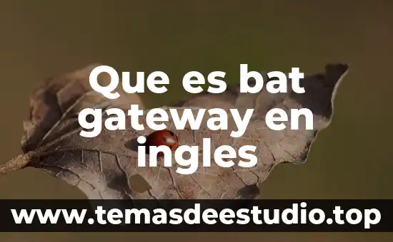 Que es significa la tonelada sistema ingles 6 Que es bat gateway en ingles