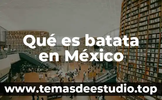 Que es lmesm en mexico 5 Qué es batata en México