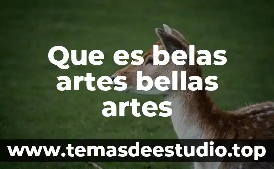 Qué es danza en bellas artes 5 Que es belas artes bellas artes