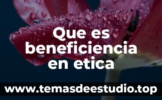 Que es beneficiencia en etica