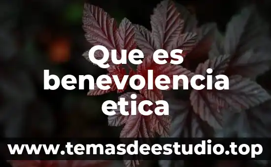 Qué es la ética de la felicidad y la justicia 7 Que es benevolencia etica