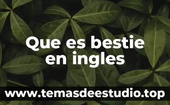 Que es el concepto de titulo 4 Que es bestie en ingles