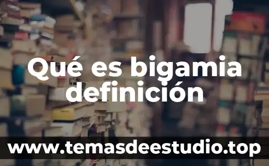 Que es una mixtura definicion en mercadotecnia 3 Qué es bigamia definición