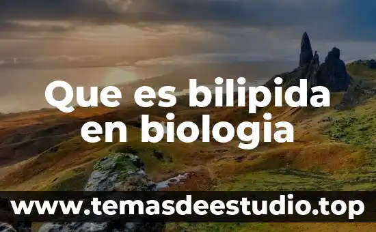 Biologia que es eco sufijo griego 8 Que es bilipida en biologia