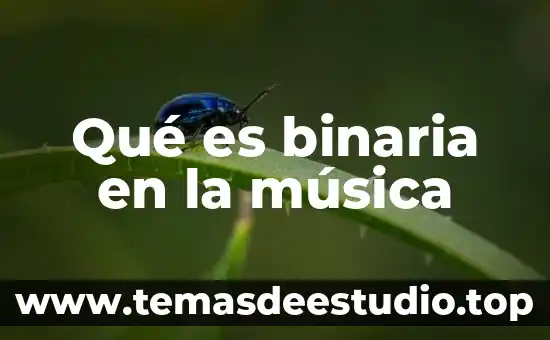 Que es las teorias del patrimonio 6 Qué es binaria en la música