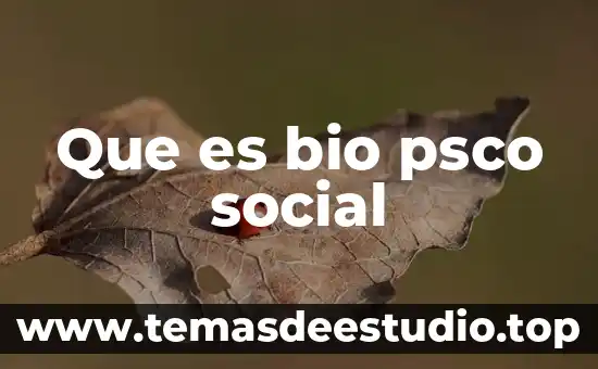 Que es bio psco social