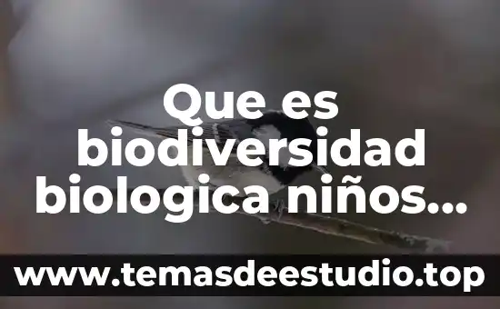 Que es la biodiversidad biologica y su importancia 8 Que es biodiversidad biologica niños de primaria