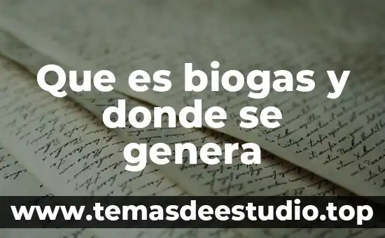 Que es el private_key.pepk que genera android studio 7 Que es biogas y donde se genera