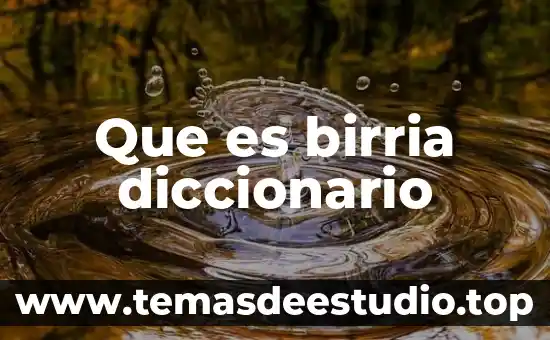 Que es iletradas diccionario 5 Que es birria diccionario