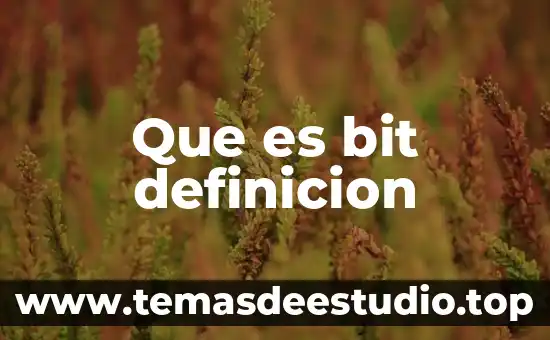 Que es la drogodependencia definicion 4 Que es bit definicion