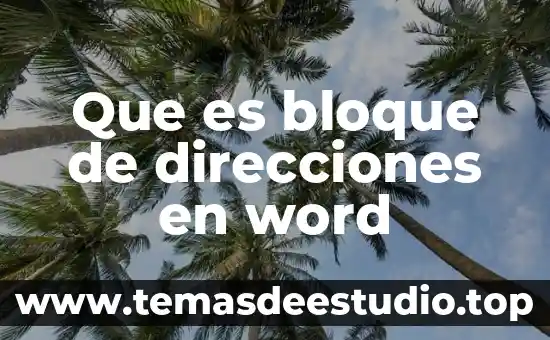 Que es el tercer bloque funcional de luria 7 Que es bloque de direcciones en word
