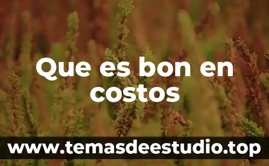 Que es el signo linguistico caracteristicas 8 Que es bon en costos