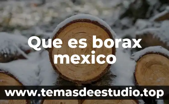 Que es borax mexico