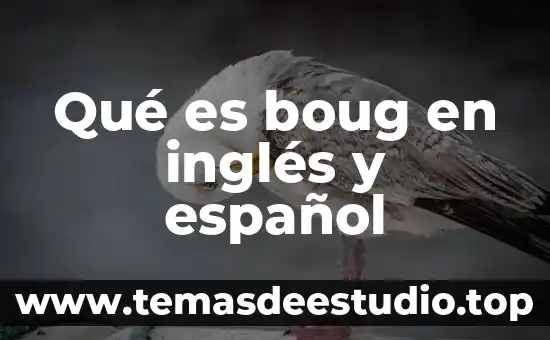 Qué es fonética elemental 5 Qué es boug en inglés y español