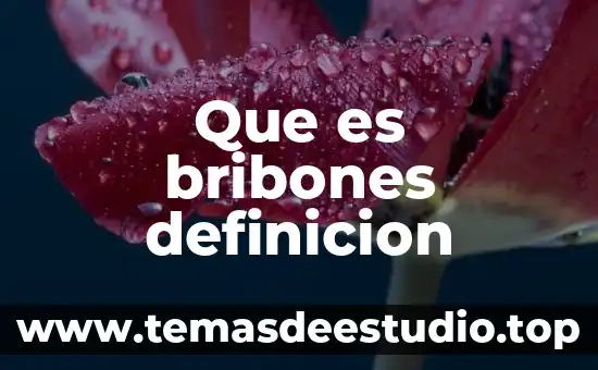 Definicion significado que es estremecer 7 Que es bribones definicion