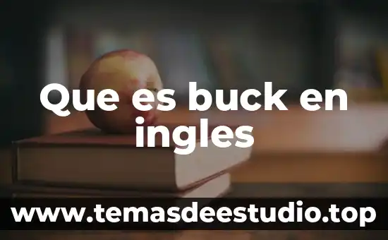 Problemas en el idioma inglés que es 4 Que es buck en ingles