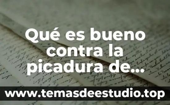 Qué es cultura de contra peso 4 Qué es bueno contra la picadura de abeja