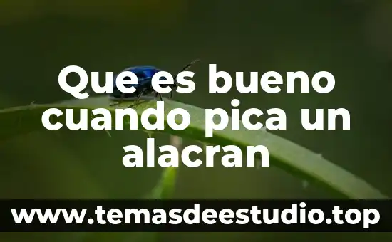Sabes que es la persona correcta cuando 7 Que es bueno cuando pica un alacran