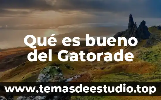 Por que es bueno ser bilingue 6 Qué es bueno del Gatorade