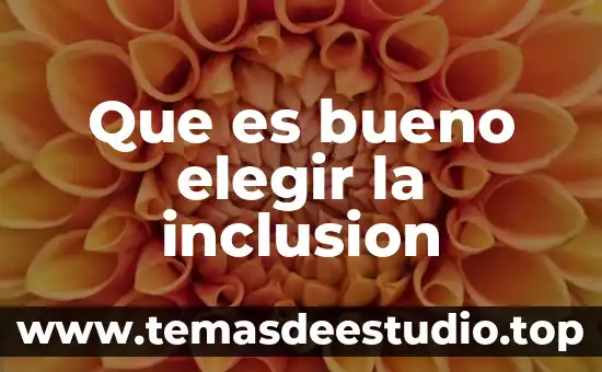 Que es elegir y ser elegido 3 Que es bueno elegir la inclusion