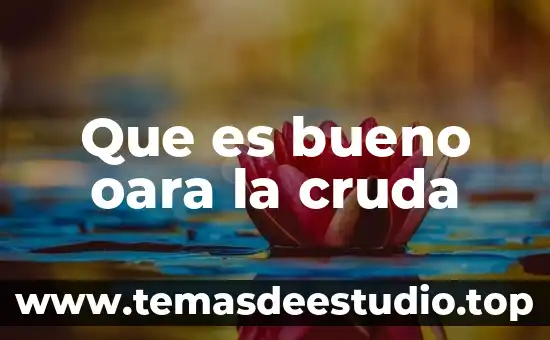 Que es bueno para la picazón en el cuero cabelludo 6 Que es bueno oara la cruda
