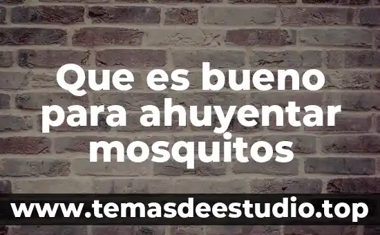 Que es bueno para ahuyentar mosquitos