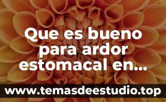 Que es un remedio casero significado 4 Que es bueno para ardor estomacal en remedio casero