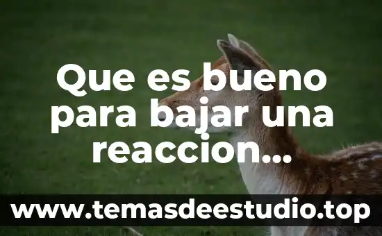 Que es bueno para bajar una reaccion alergica