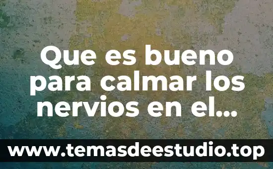 Qué es ardor de estómago y qué lo causa 4 Que es bueno para calmar los nervios en el estomago
