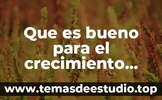 Para que es bueno la planta altamisa 4 Que es bueno para el crecimiento acelerado para las cejas