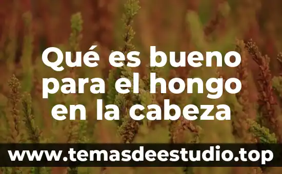 Que es significa la palabra mapa conceptualpalabra hongo 5 Qué es bueno para el hongo en la cabeza