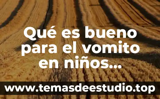 Que es un remedio casero significado 3 Qué es bueno para el vomito en niños remedio casero