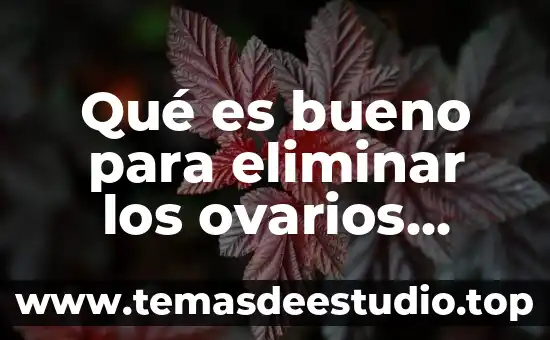 Qué es bueno para eliminar los ovarios poliquísticos