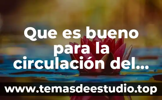 Qué es un visto bueno en comercio exterior 5 Que es bueno para la circulación del cerebro