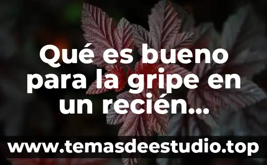Que es bueno para el ombligo de un recien nacido 3 Qué es bueno para la gripe en un recién nacido