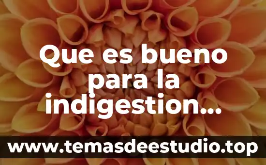 Que es un filtro de agua casero como funciona 5 Que es bueno para la indigestion remedio casero