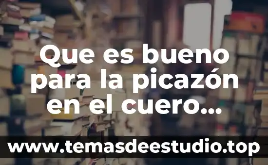 Traigo romero que es bueno para la memoria 8 Que es bueno para la picazón en el cuero cabelludo