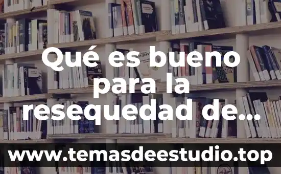 Qué es bueno para la resequedad de las piernas