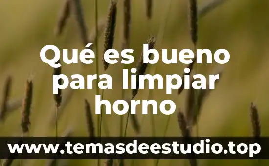 Qué es bueno para limpiar horno