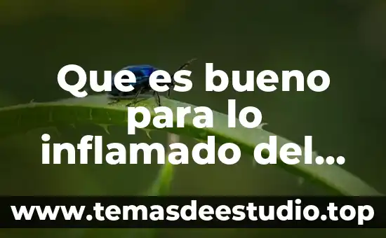Qué es un visto bueno en comercio exterior 4 Que es bueno para lo inflamado del intestino