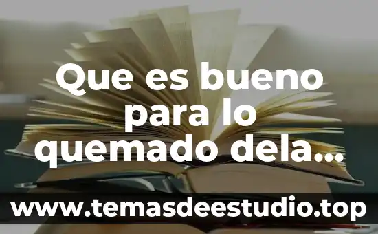 Que es la planificación en metodologia dela investigacion 6 Que es bueno para lo quemado dela piel